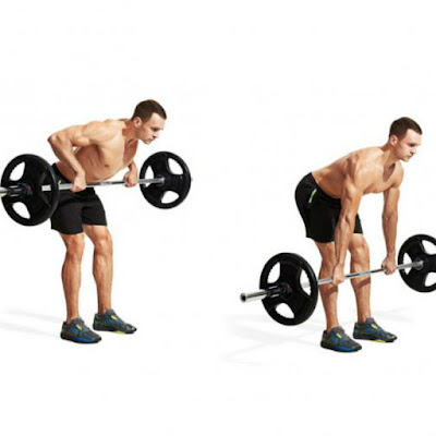 Bent over barbell row