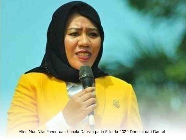 Alien Mus Nilai Penentuan Kepala Daerah pada Pilkada 2020 Dimulai dari Daerah