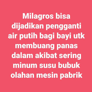 Cara membuat susu dengan air milagros | Agen Milagros Bekasi | 081327570786