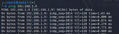ping linux