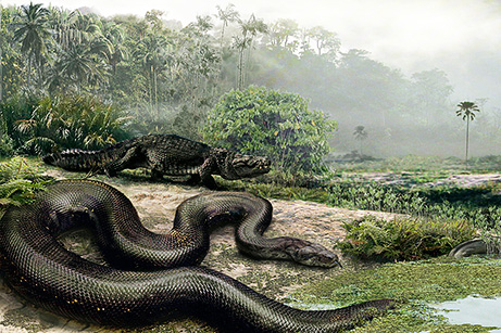 Pictures Cars on Biggest Snakes In The World Ever Discovered   World Information