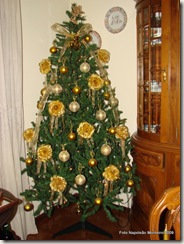 DSC06804