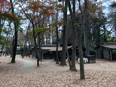 清水公園キャンプ場