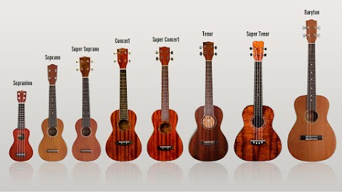 What is Ukulele?