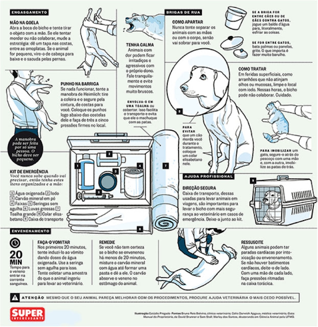 http://planetasustentavel.abril.com.br/pops/superinteressante-primeiros-socorros-em-animais-infografico.shtml