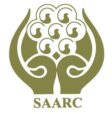 Logo Design Kolkata on Saarc Disaster Management Center