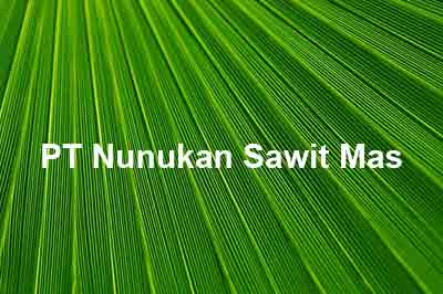 Lowongan Kerja PT Nunukan Sawit Mas, lowongan kerja Kaltara Oktober Nopember Desember 2019 Januari februari Maret April Mei Juni 2020