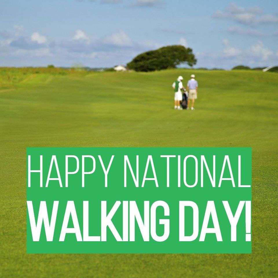 National Walking Day Wishes Beautiful Image