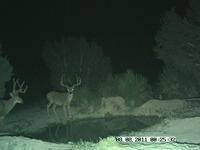 PIC0563