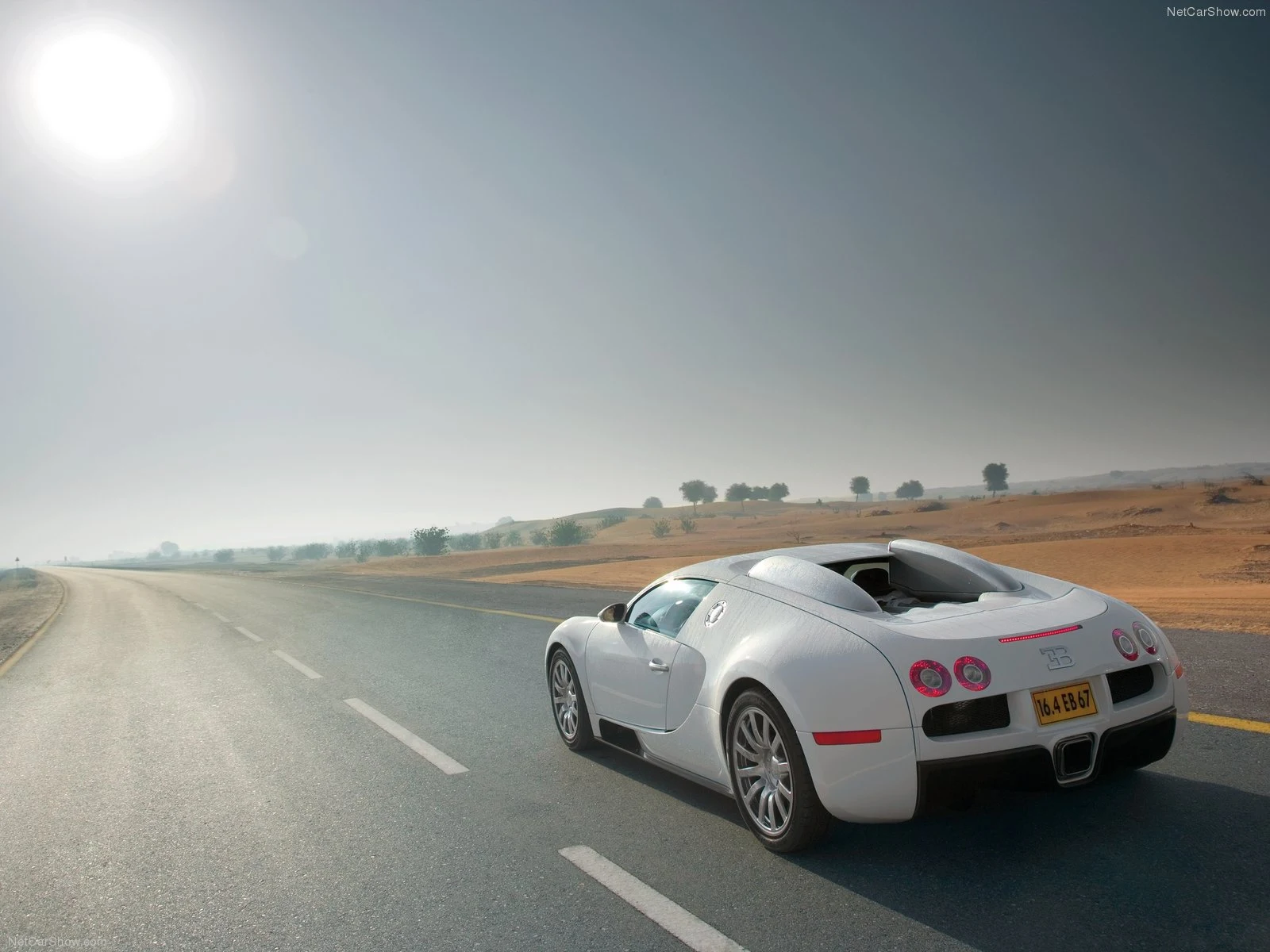 Hình ảnh siêu xe Bugatti Veyron 2009 & nội ngoại thất
