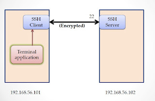 Cara Tunneling