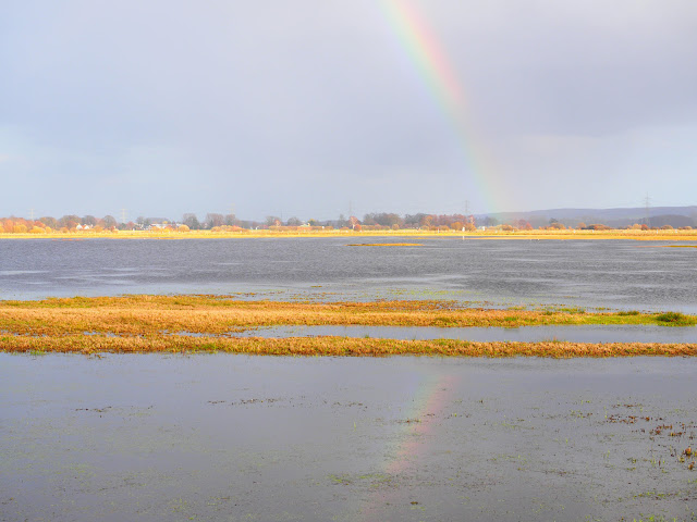 Regenbogen mit dem Olympus ArtFilter "Pop Art"