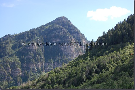 DSC_0960 DSC_0960