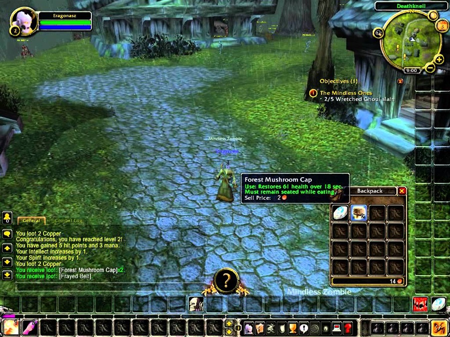 World of Warcraft Wrath of the Lich King Download - VideoGamesNest