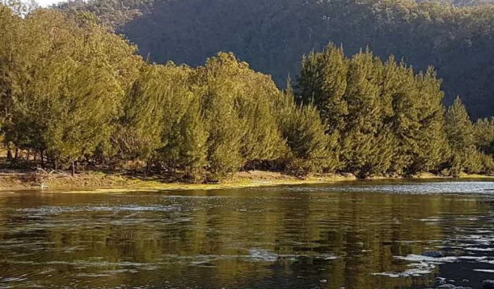 Guy Fawkes River National Park