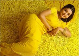 <br />Vandhana Menon Hot Yellow Saree