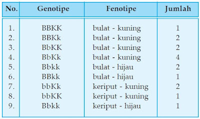 Berikut ini merupakan pembahasan lengkap wacana pengertian persilangan dihibrid dan monoh Pengertian dan Contoh Persilangan Dihibrid dan Monohibrid Lengkap