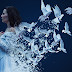 Bird Dispersion Effect Photoshop