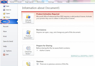 File info microsoft word 2010