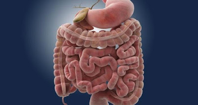 You Will Be Amazed What Will Come Out Of Your Intestines! Eat This Meal For Dinner 3 Days