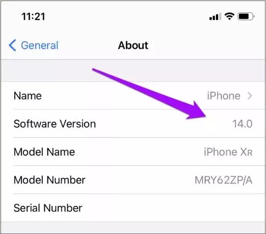 mengatasi mode PiP iPhone yang tidak berfungsi-1