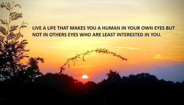 LIVE A LIFE THAT MAKES YOU A HUMAN IN YOUR OWN EYES BUT NOT IN OTHERS EYES WHO ARE LEAST INTERESTED IN YOU.