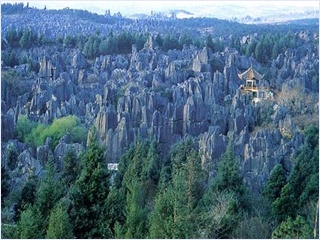 Stone Forest in Yunnan.