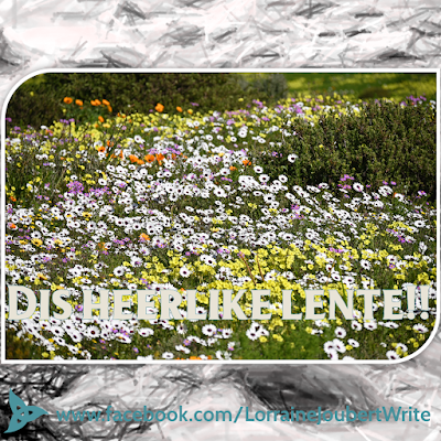 Image and Text:  Image of a field of flowers. Text: Dis heerlike lente!!  Background image: Close-up shot of running river. Pencil grey-scale effect applied to photo. Blue filled triquetra in left bottom corner, with overlay of a black and a white cat forming the yin yang circle, in lower corner of the triquetra.  Text: www.facebook.com/LorraineJoubertWrite