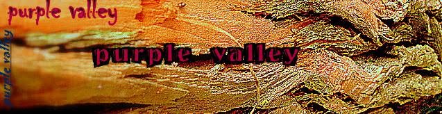 PURPLE Valley...