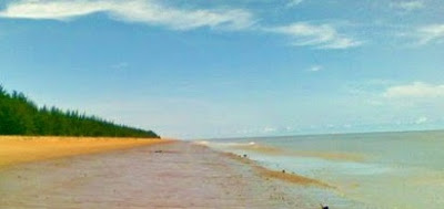 merupakan salah satu kawasan konservasi yang terdapat di Kabupaten Sambas Kalimantan Barat Wisata Pantai Pulau Slimpai Paloh Sambas - Kalimantan Barat