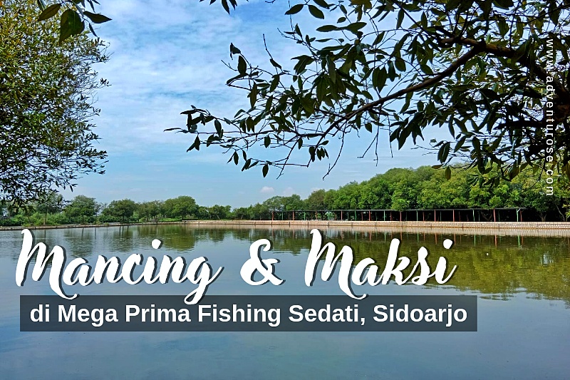 mega prima fishing