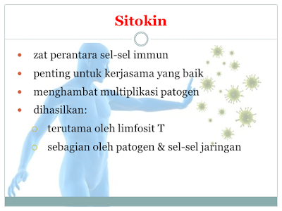 Sitokin