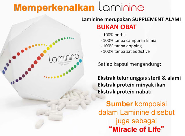 laminine jakarta