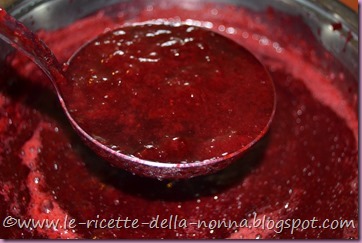 Marmellata di more (8)