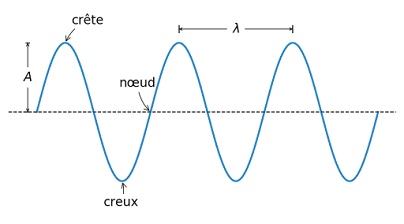 les ondes mécaniques progressives, onde mécanique alloprof, ondes mécaniques progressives alloschool, alloprof ondes mécaniques