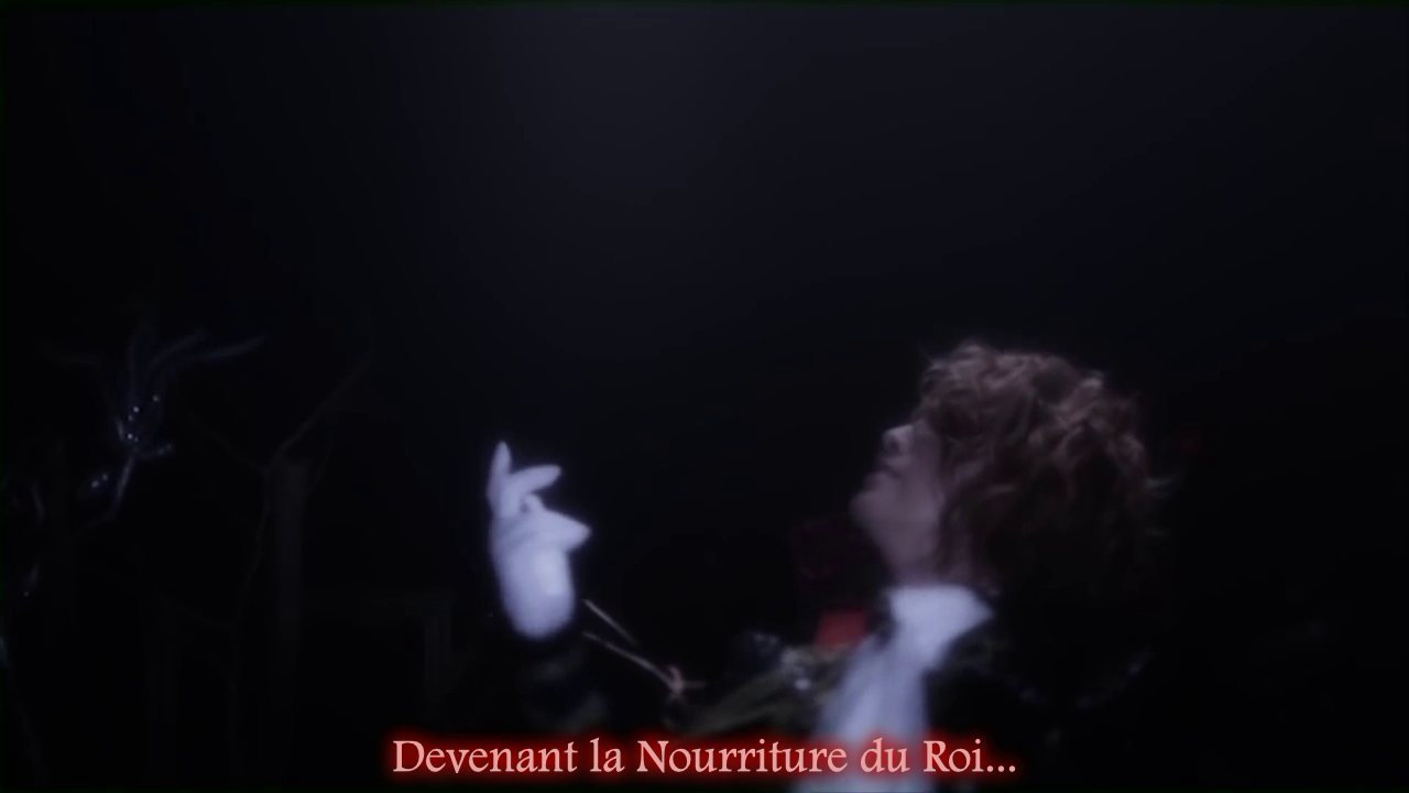 http://visual-karaoke.blogspot.com/2015/03/kamijo-sous-titres-francais-des-clips.html