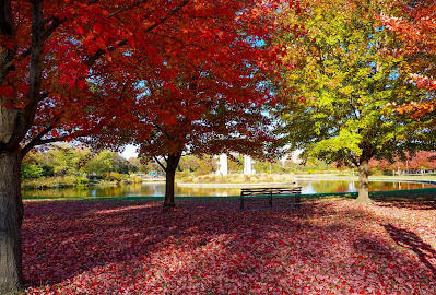 Forest Park in the Fall photo by mbgphoto