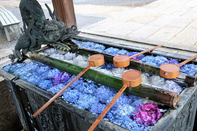 柳谷観音 楊谷寺 あじさい寺 花手水