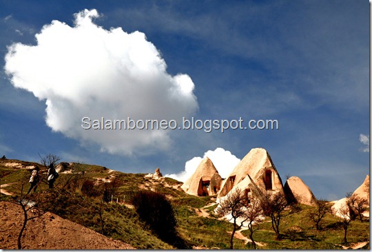 DSC_0620_Fotor