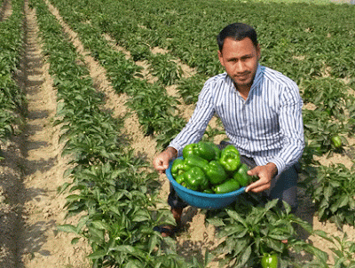 কৃষি নয়, আধুনিক কৃষি