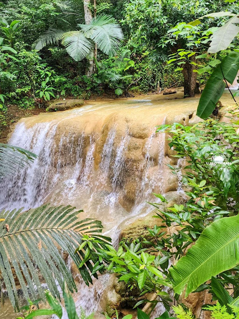 Hutan Lipur Bukit Ayer, Kangar