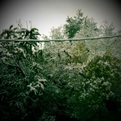 shot_1320510435720