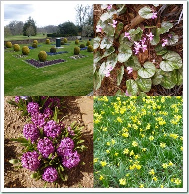 kingston lacy-003