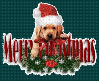 Christmas Dog Lover Wish, christmas wishes for dog lovers, dog lovers christmas, dog christmas card, christmas dog card, Christmas Dog Lover Wish, christmas wishes for dog lovers, dog lovers christmas, dog christmas card, christmas dog card