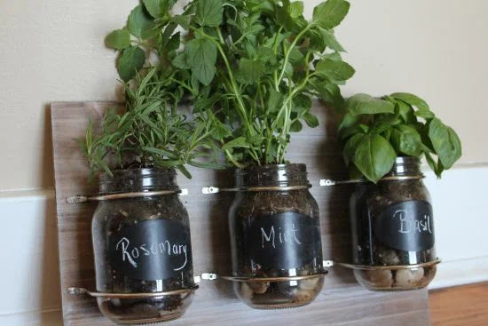 indoor herb garden ideas