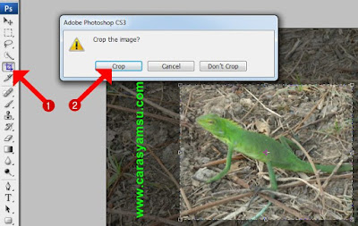 Menu Crop Tool dan Crop di Photoshop