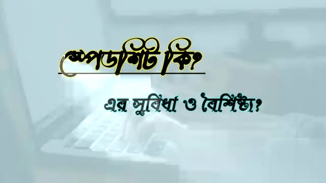 স্পেডশিট কি