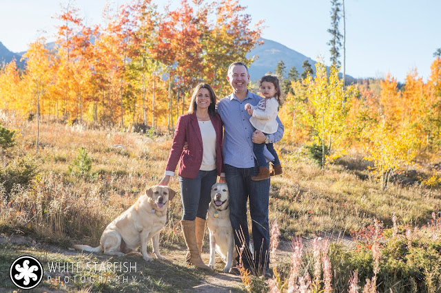 White Starfish Photography - Colorado Fall Photos