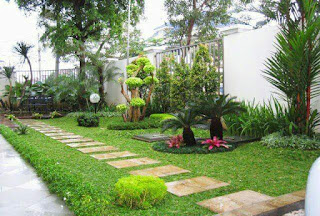 tukang taman mampang prapatan jakarta selatan