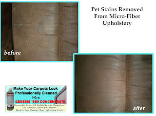 best Pet Stain Remover